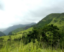 El eco de la Sierra