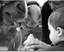 Niños a caballo