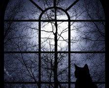 Sangre en la oscuridad