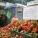 Mercado de Quinta Crespo